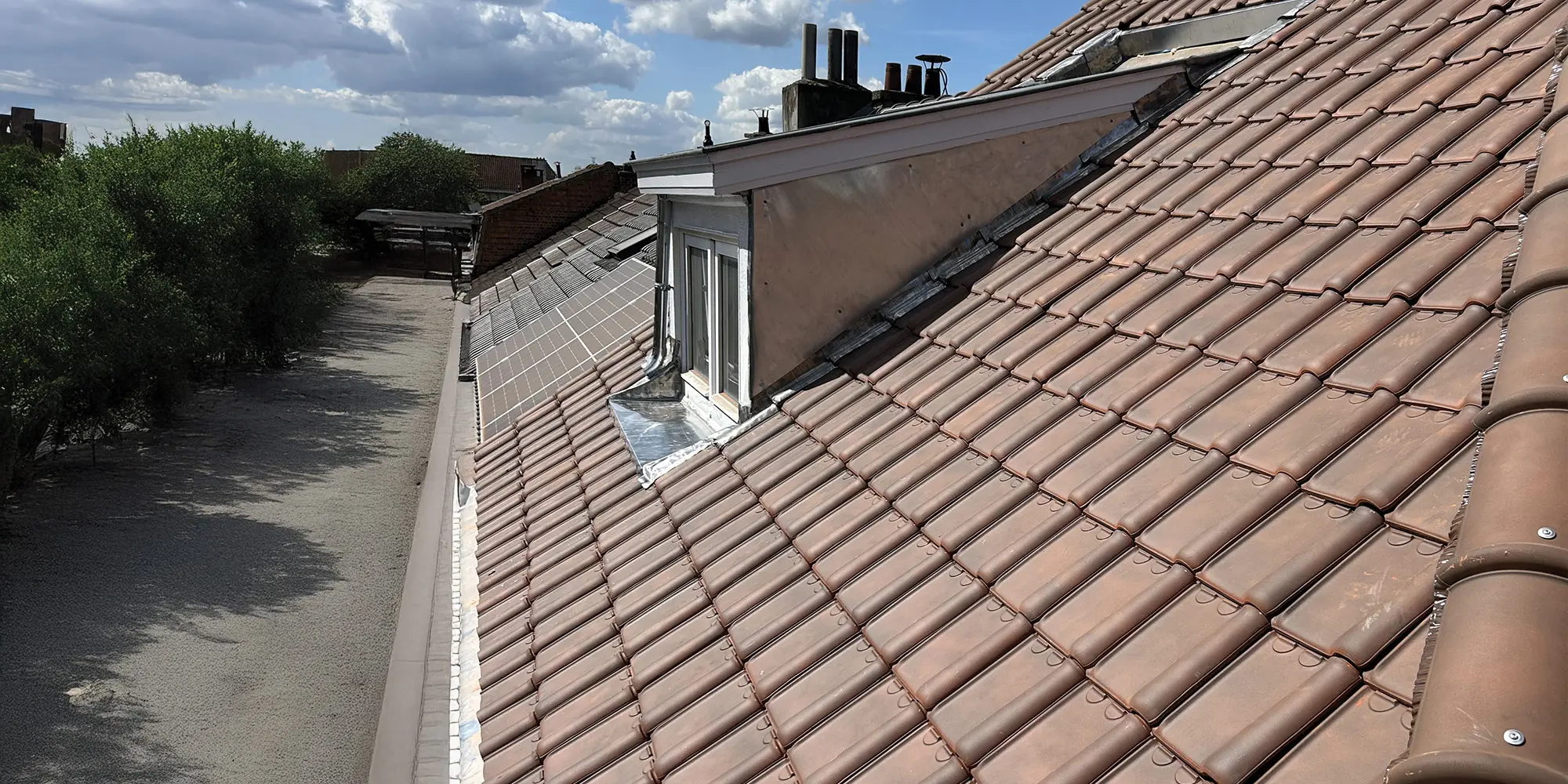 toit isole avec chien assis